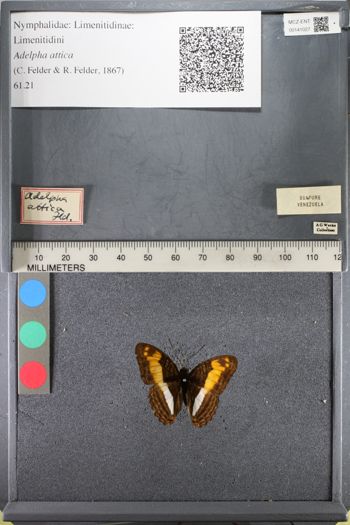 Media type: image;   Entomology 141027
